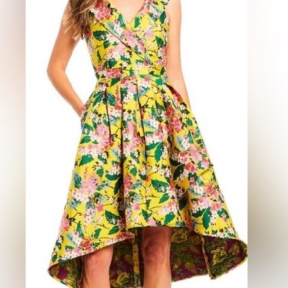 Alex Marie Dresses & Skirts - NWT Alex Marie Daphne Floral Cocktail Dress Size 4
